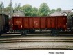 66291 Roco Open Gondola El
